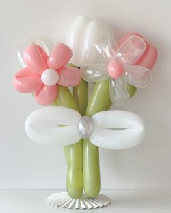 5 biało-różowych blumi