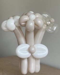 6 beżowych blumi kwiat z balonów
